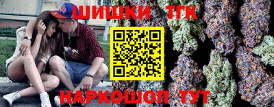индика Дубна