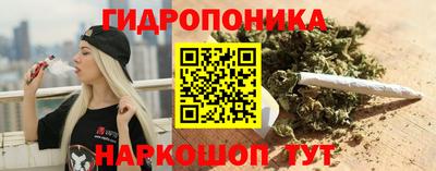 крисы Донской