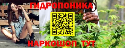 крисы Донской