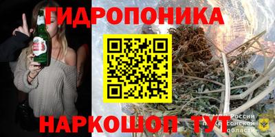 индика Дубна