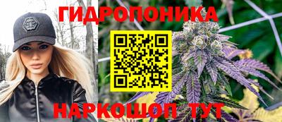 крисы Донской