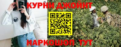 индика Дубна