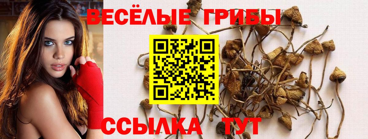 Галлюциногенные грибы мухоморы Муром