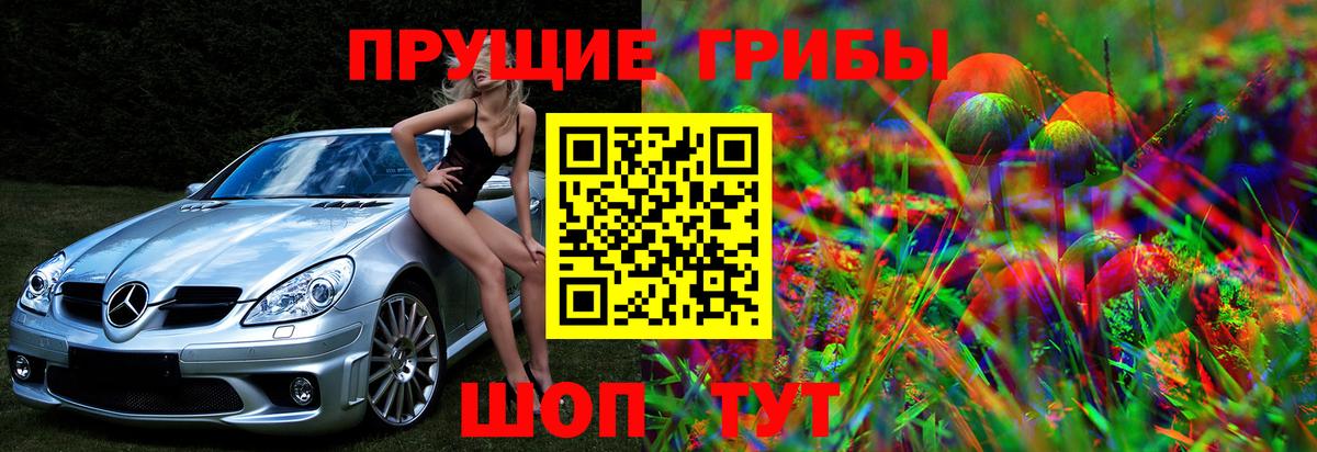 Муром  Псилоцибиновые грибы мухоморы  купить закладку  Галлюциногенные грибы MAGIC MUSHROOMS  Вход с VPN 